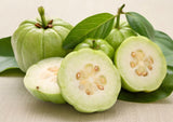 Garcinia cambogia: qué es, cómo se utiliza y en qué puede ayudarte