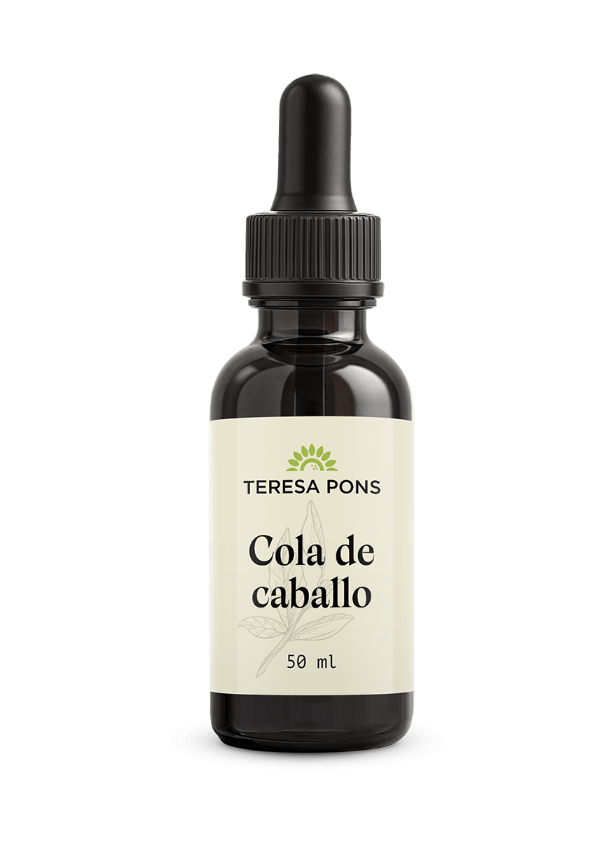 Extracto de Cola de Caballo - Salud Teresa Pons