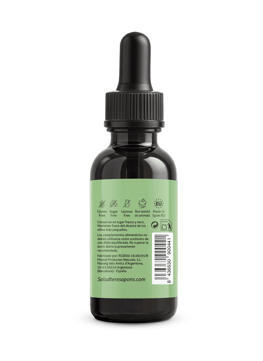 Extracto de Ginkgo Biloba