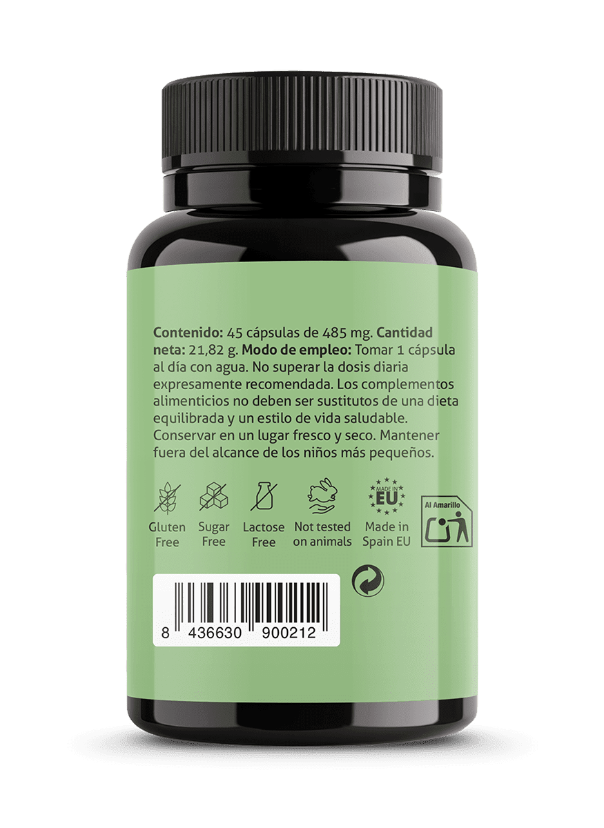 Ginkgo Biloba - Salud Teresa Pons