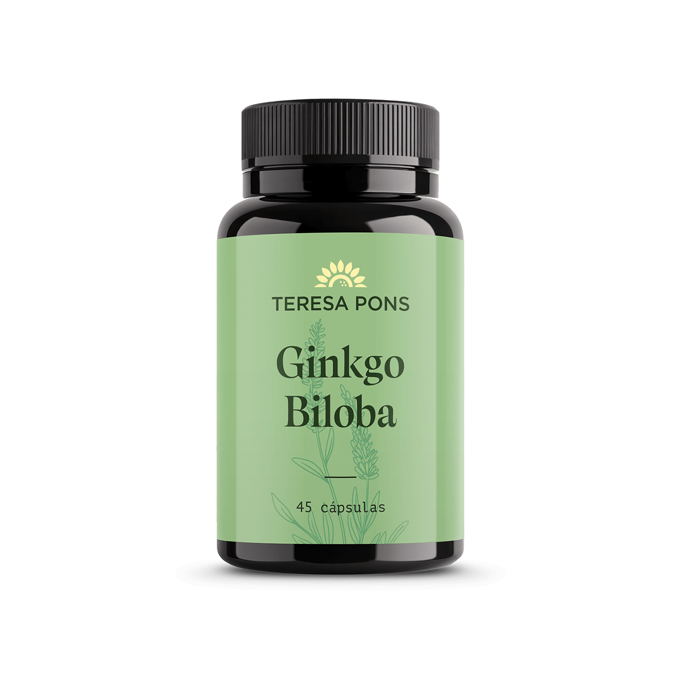Ginkgo Biloba - Salud Teresa Pons