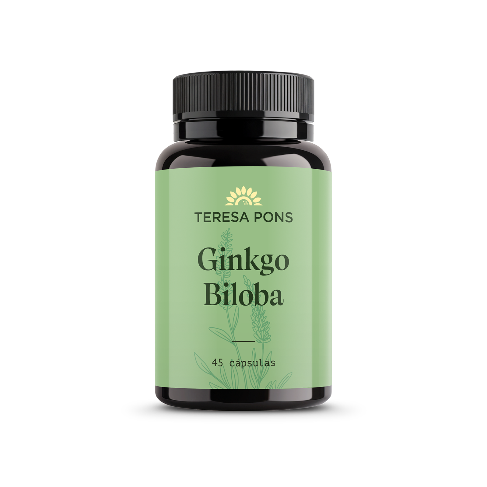 Ginkgo Biloba 