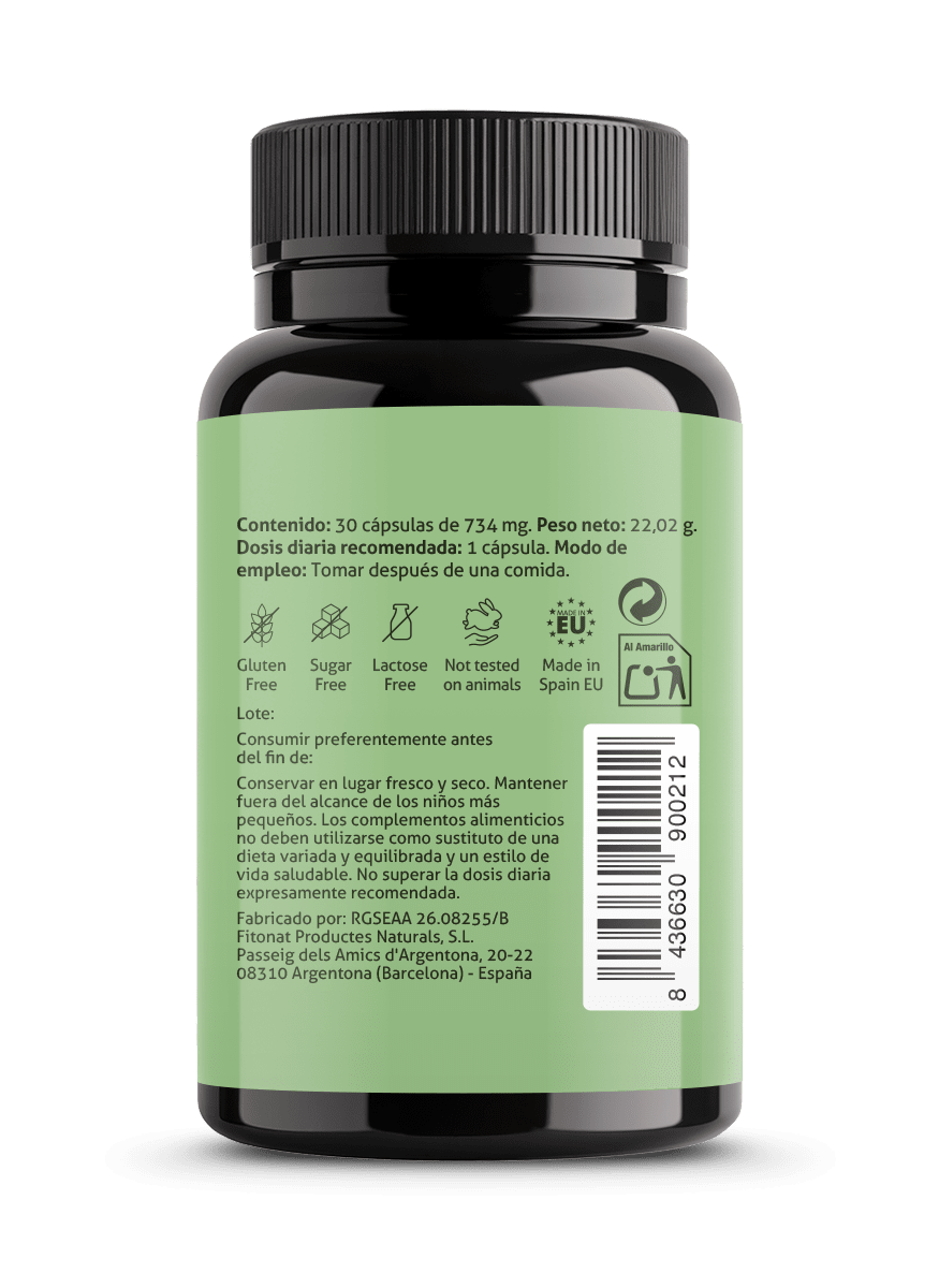 Ginkgo Biloba