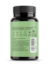 Ginkgo Biloba