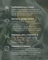 Memoria Activa