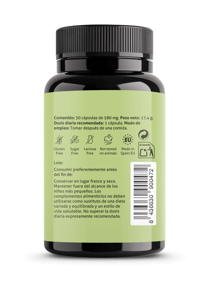 Reishi Plus