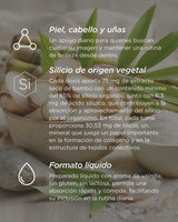 Silicio Orgánico