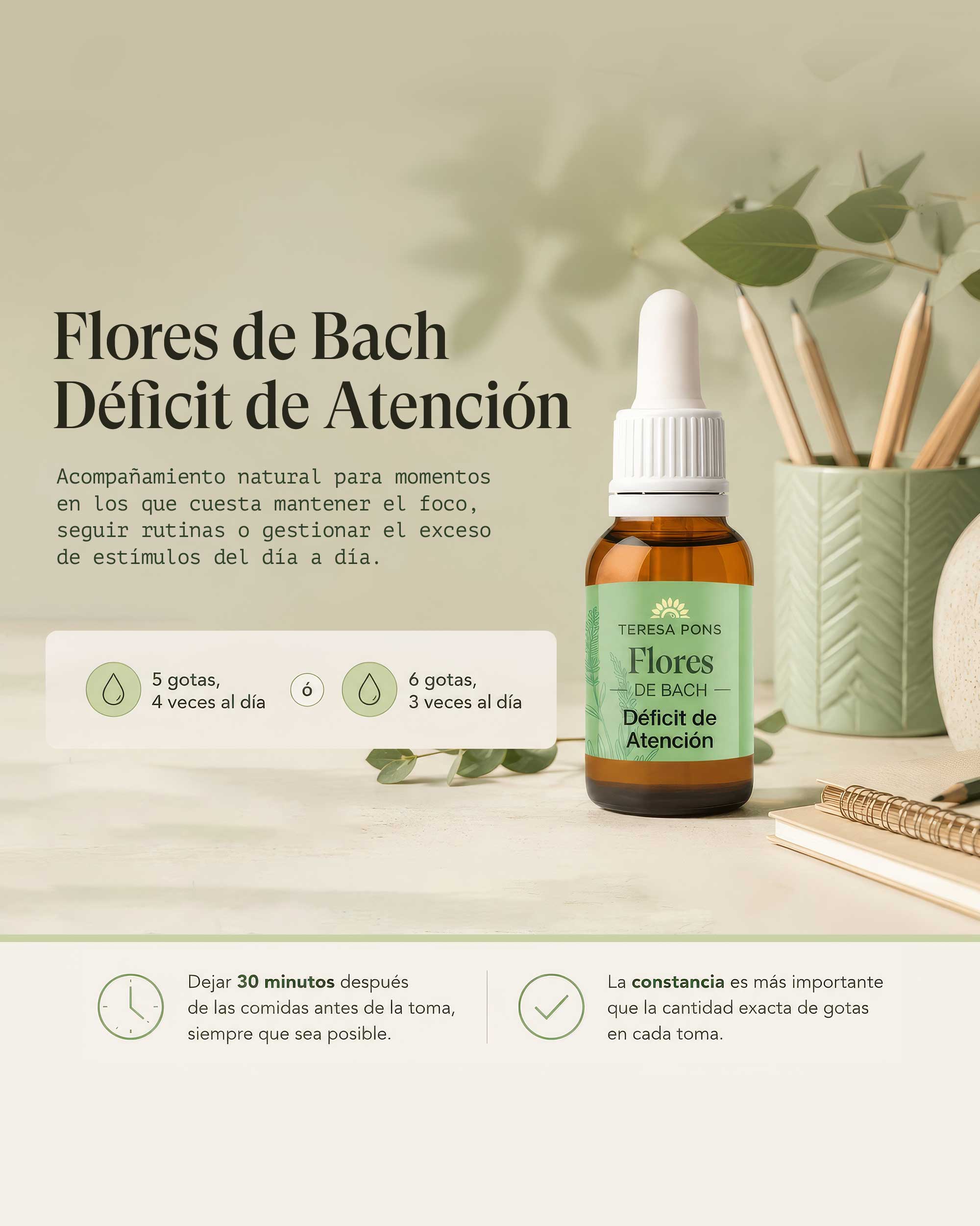 Calm and Focus Pack for Kids